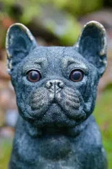 Französische Bulldogge – Bronzeoptik, ca. 27 cm 